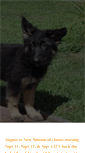 Mobile Screenshot of integraldogtraining.com